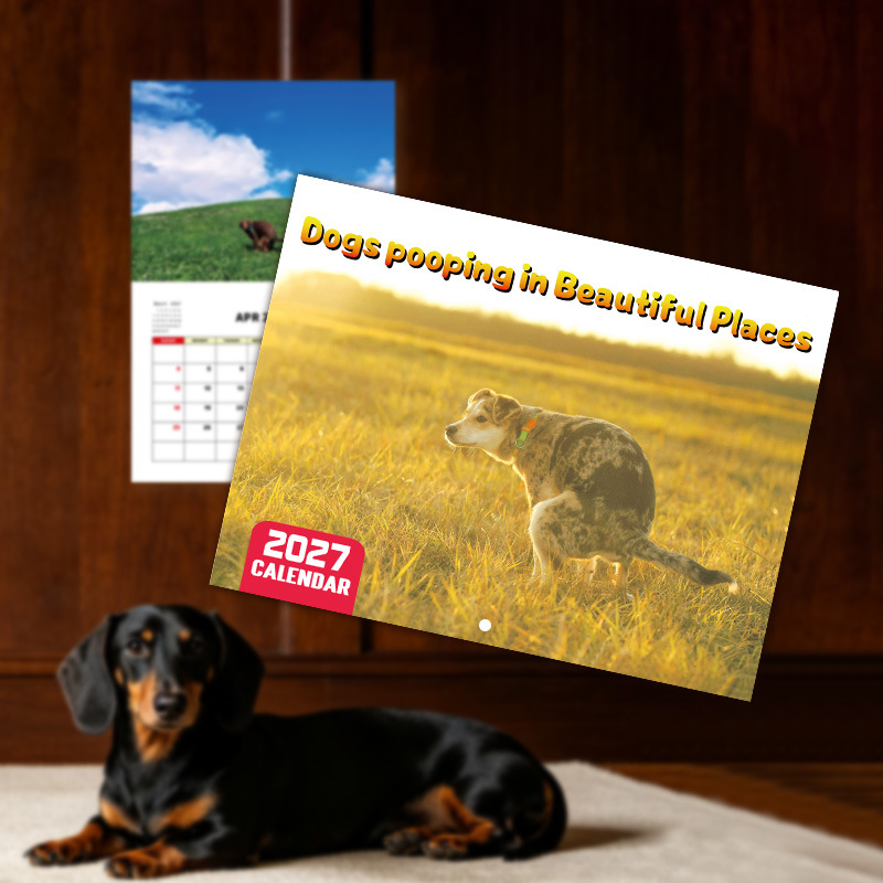 Assorted 2027 Novelty Wall Calendars – 15 Designs
