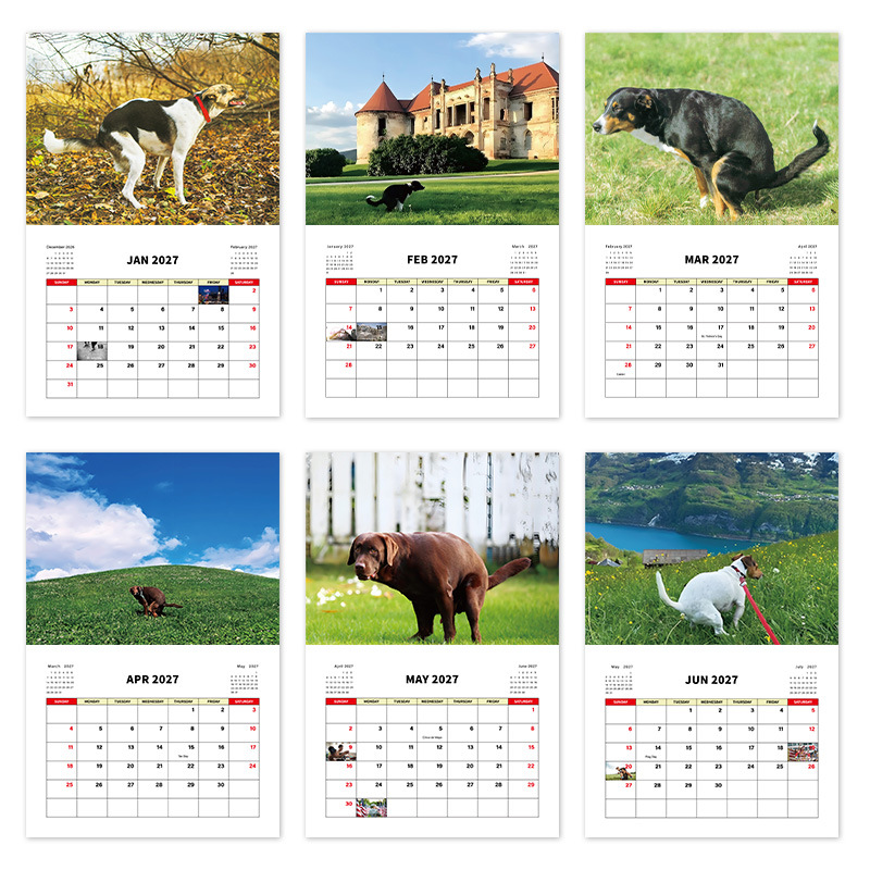 Assorted 2027 Novelty Wall Calendars – 15 Designs product view 3