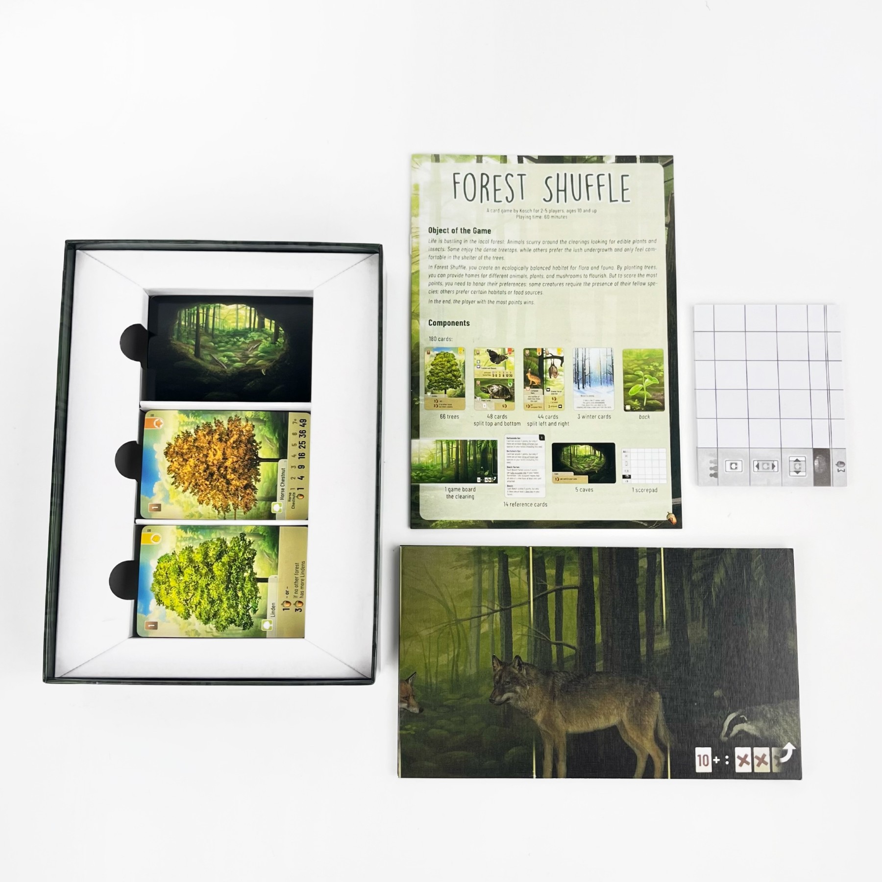 Forest Shuffle English Strategy Card Game