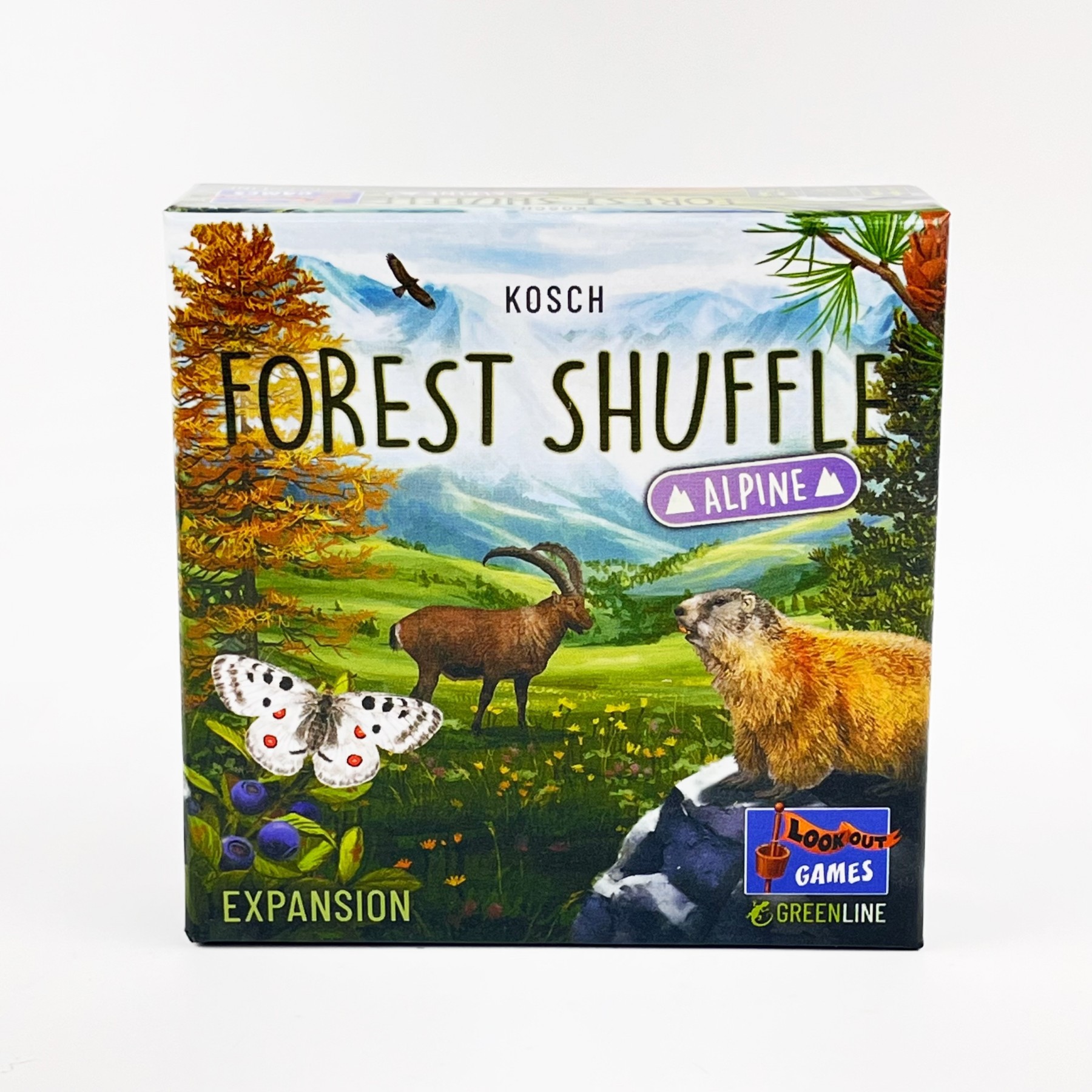 Forest Shuffle English Strategy Card Game product view 3