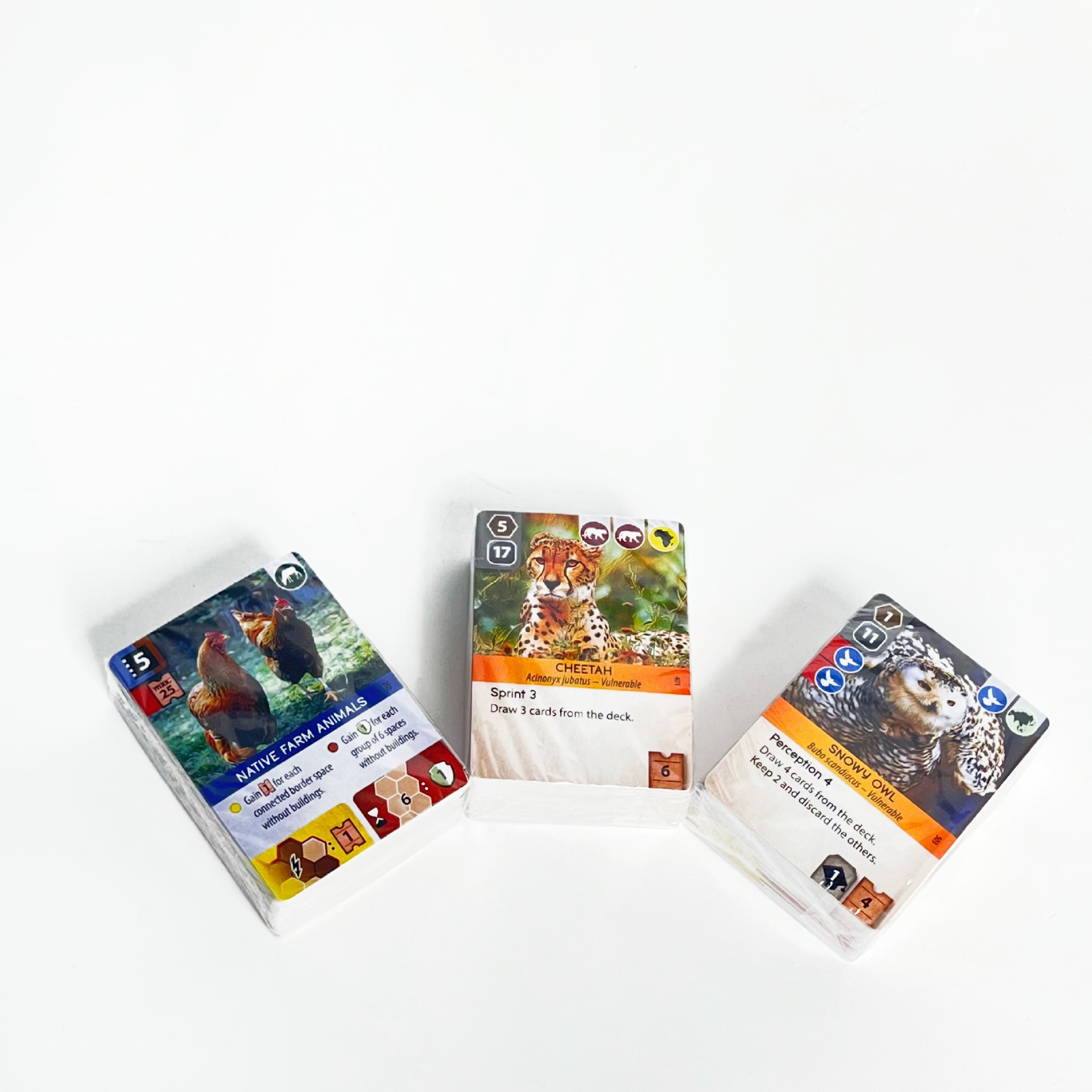 Ark Nova English Strategy Board Game