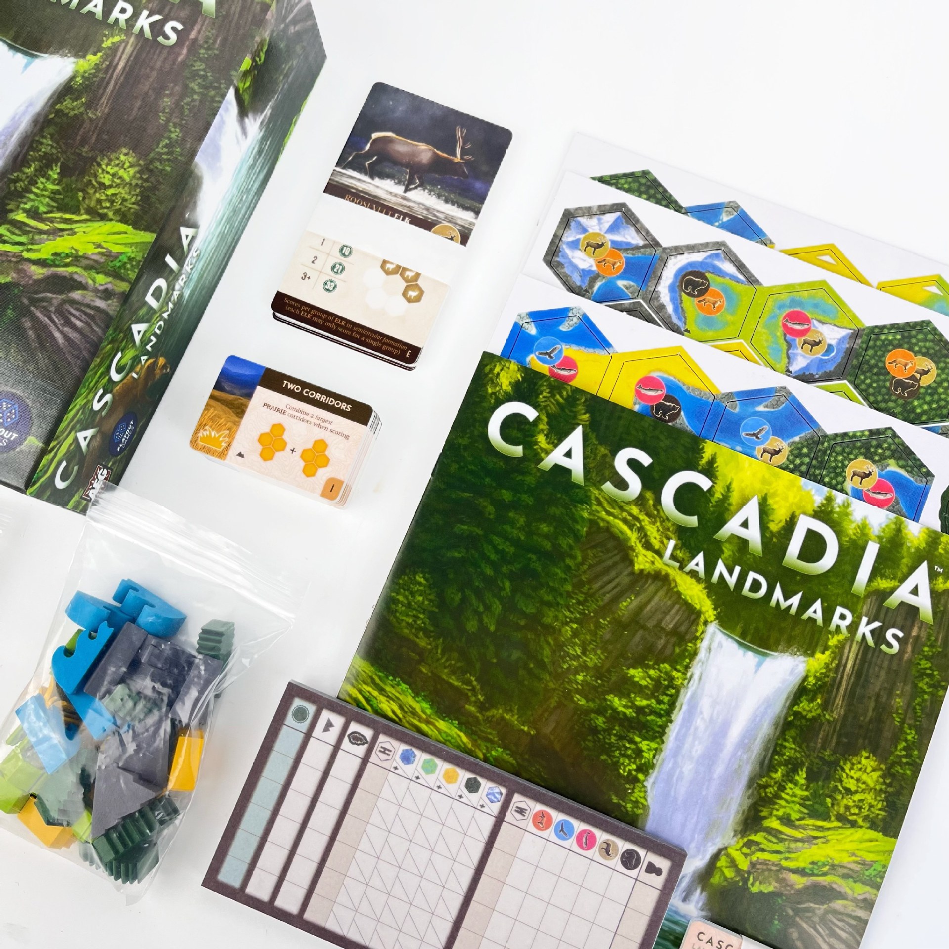 Cascadia English Strategy Board Game with Landmarks Expansion product view 3