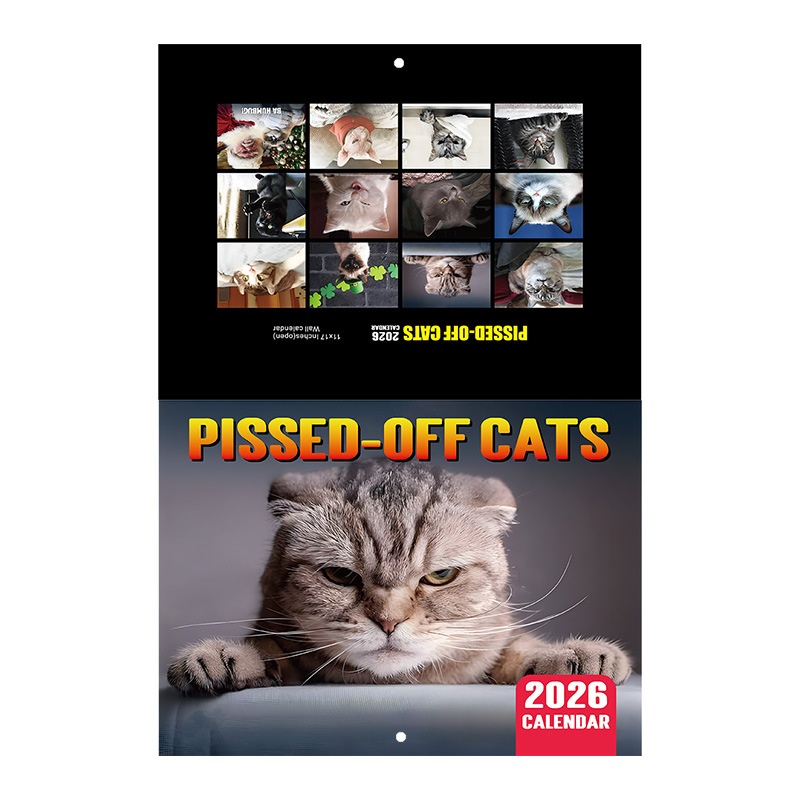 Pissed-Off Cats 2026 Custom Wall Calendar product view 5