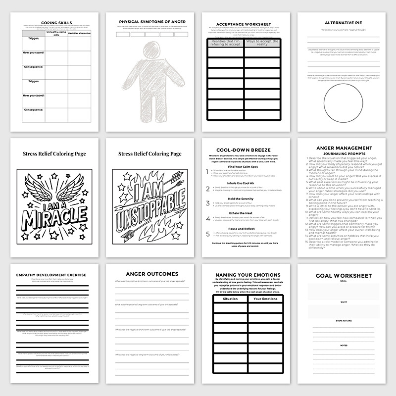 Anger Management Workbook and Mental Wellness Binder product view 4