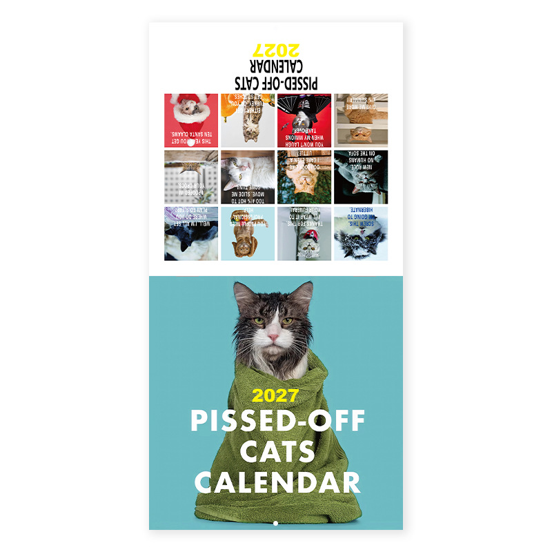 Pissed-Off Cats 2027 Wall Calendar product view 5