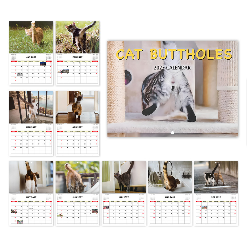 Cat Buttholes 2027 Novelty Wall Calendar product view 4