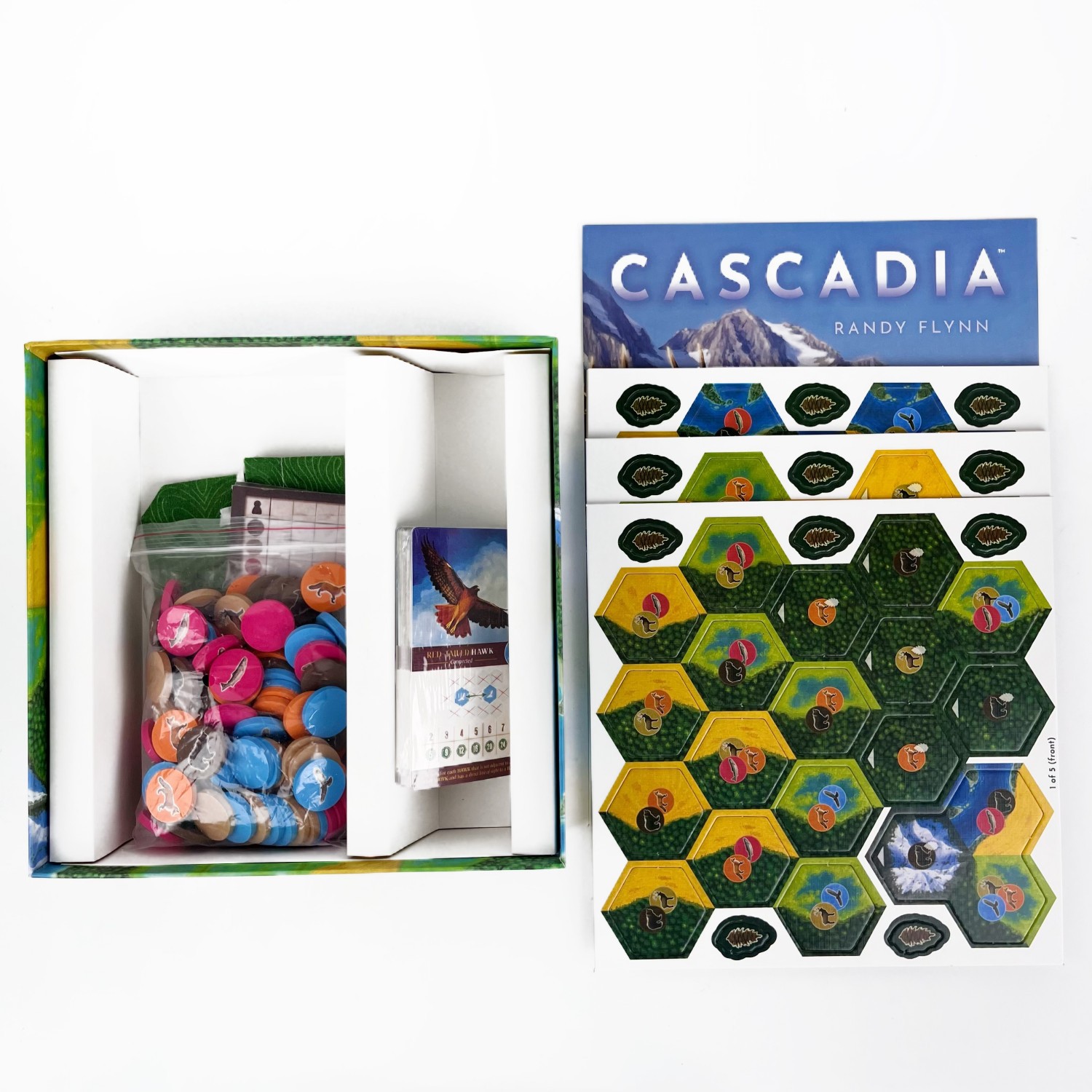 Cascadia English Strategy Board Game with Landmarks Expansion