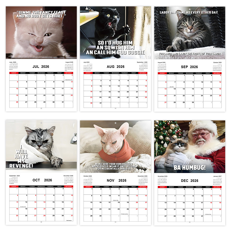 Pissed-Off Cats 2026 Custom Wall Calendar product view 3