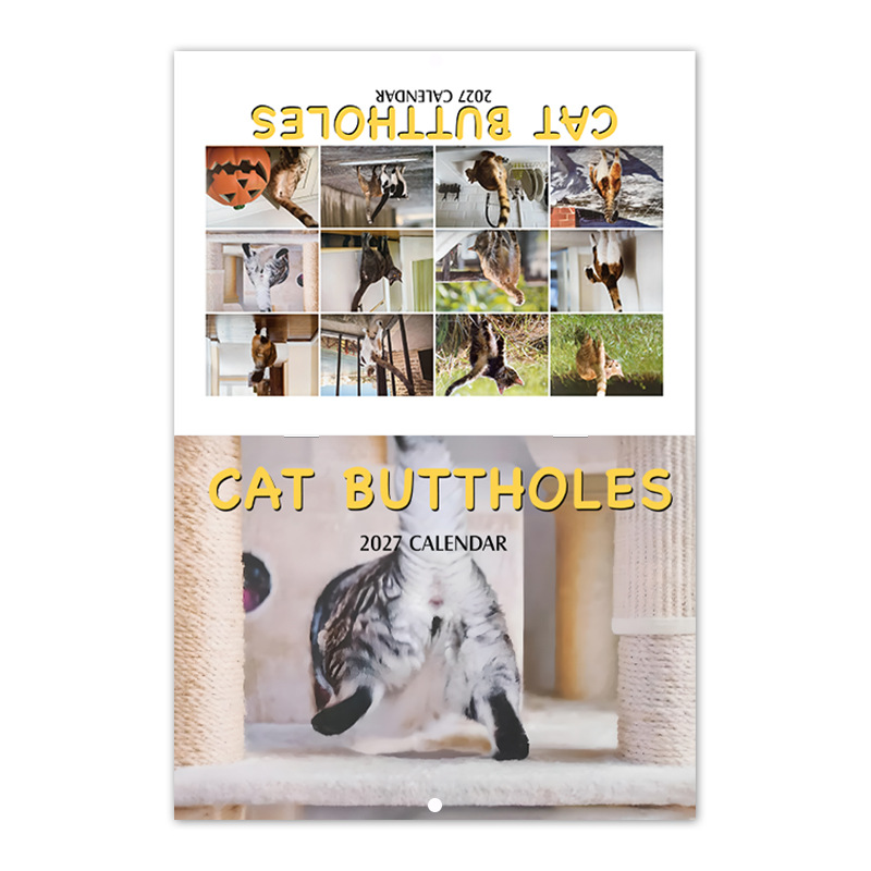 Cat Buttholes 2027 Novelty Wall Calendar product view 5