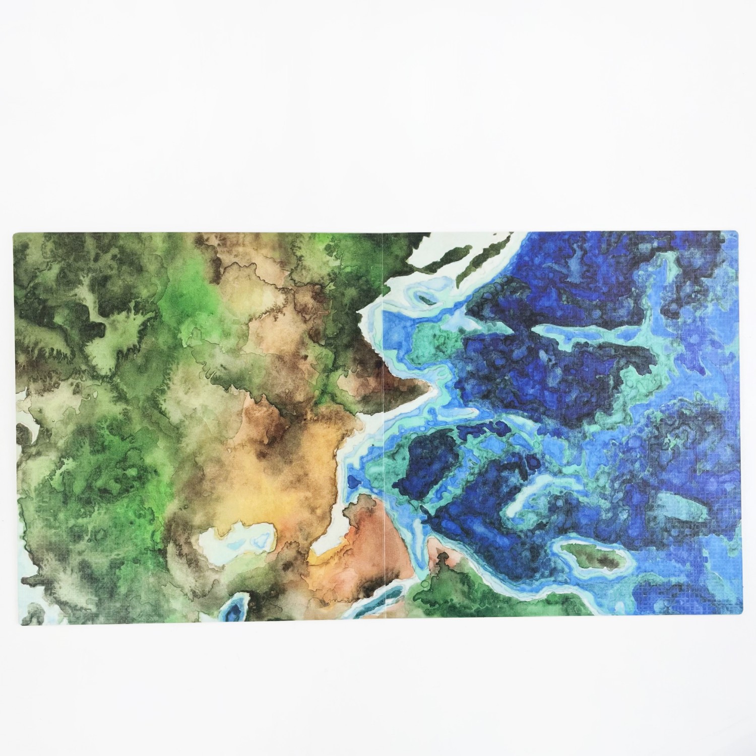 Finspan English Fish Strategy Board Game product view 2