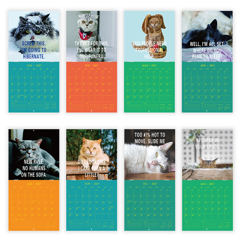 Pissed-Off Cats 2027 Wall Calendar product view 3