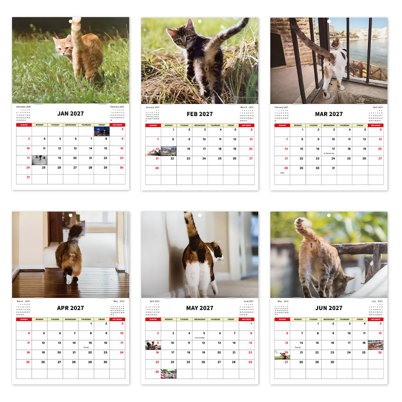 Cat Buttholes 2027 Novelty Wall Calendar product view 3