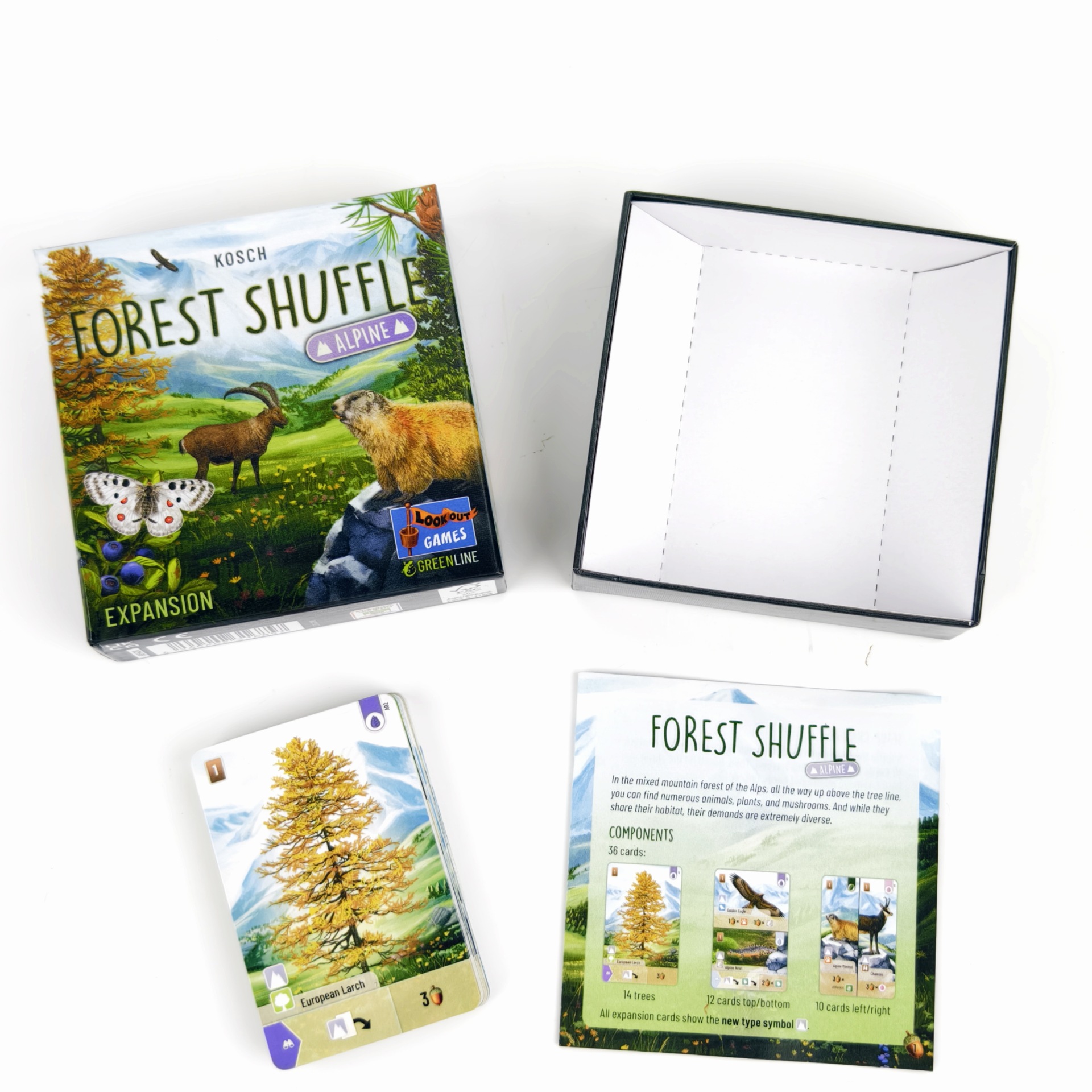Forest Shuffle English Strategy Card Game product view 2