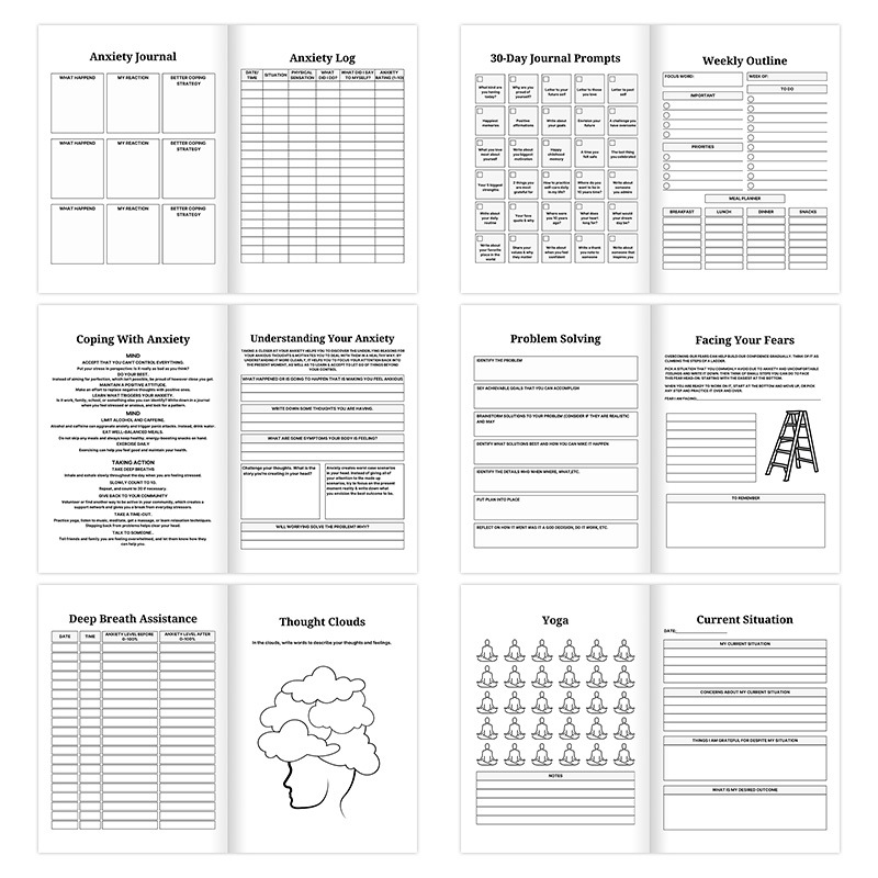 Bipolar Disorder and Anxiety Therapy Journal product view 3