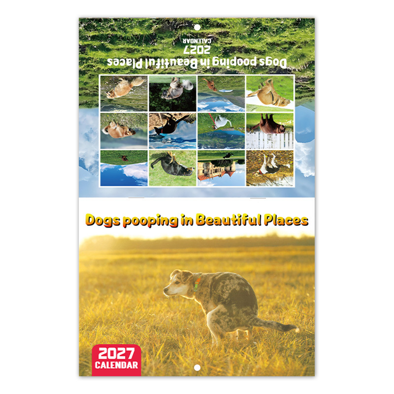 Assorted 2027 Novelty Wall Calendars – 15 Designs product view 5