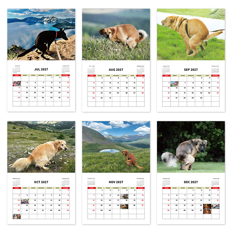 Assorted 2027 Novelty Wall Calendars – 15 Designs product view 4