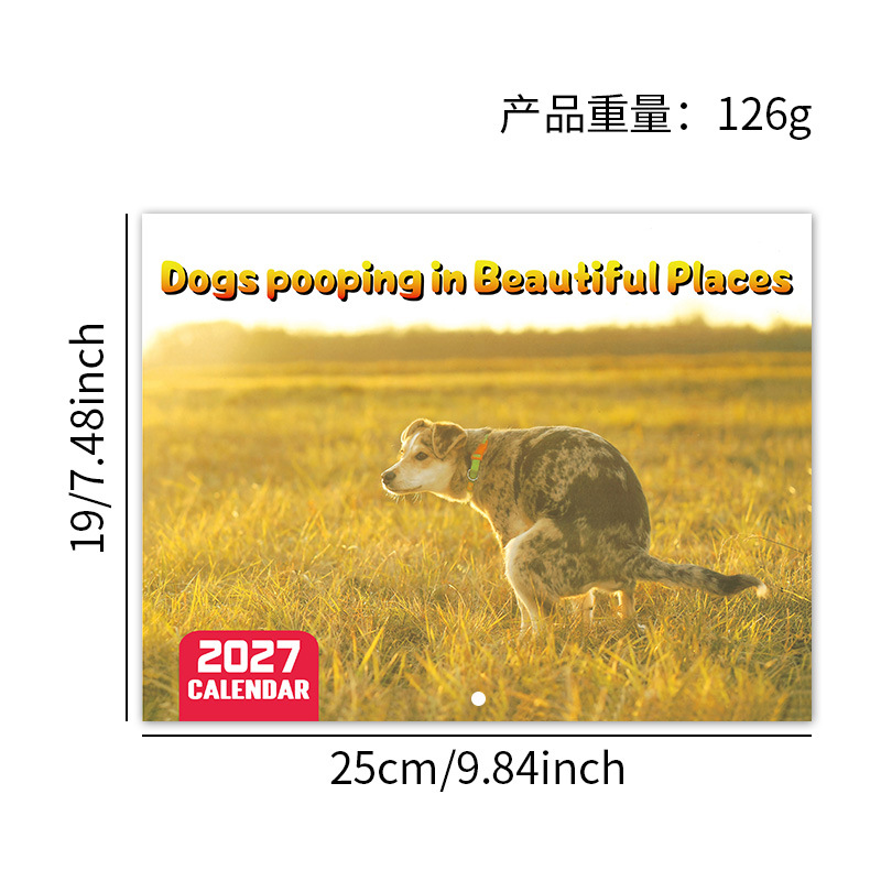 Assorted 2027 Novelty Wall Calendars – 15 Designs product view 2